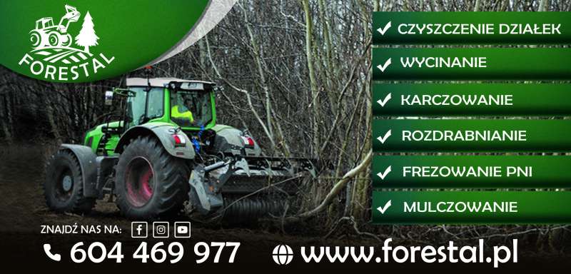 Wycinka Czyszczenie działek Mulczowanie Rekultywacja Wgłębny