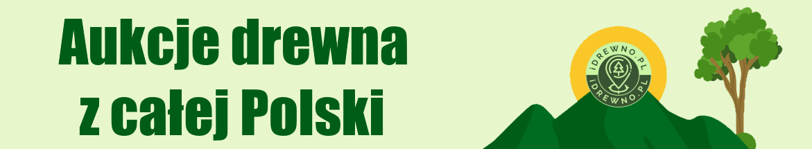 Aukcje drewna z całej Polski